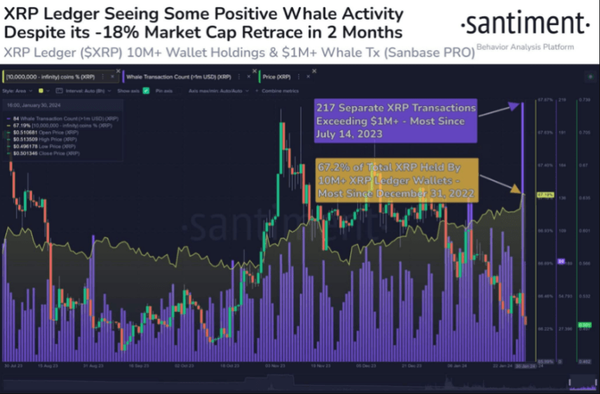 XRP Price Poised For Liftoff? Whale Holdings Soar Despite Ripple Hack