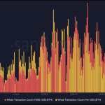Solana Tokens Issued by Caitlyn Jenner, Iggy Azalea, Davido Are Down 80%, With Early Buyers Minting Money
