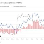 Crypto Trader Says Solana-Based Altcoin Primed To Plunge Further, Outlines Path Forward for Pepe and Dogecoin