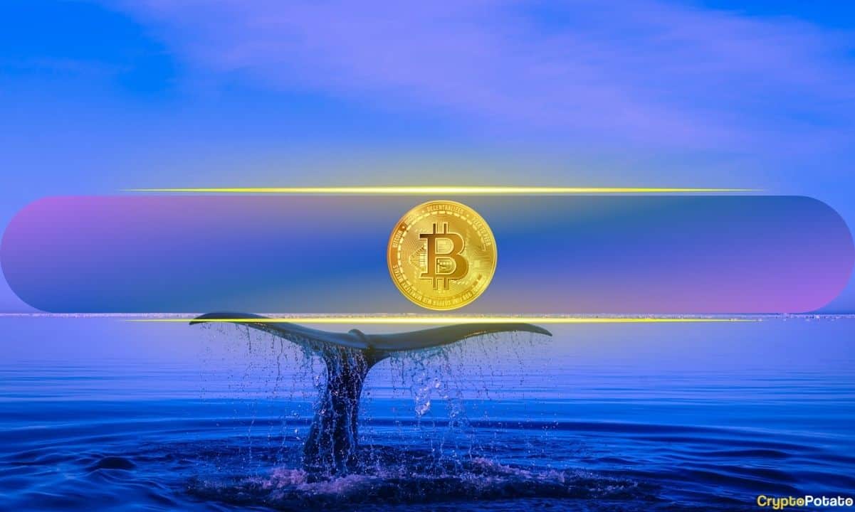 Whale Buying Pressure on Binance and Coinbase Pushes Bitcoin (BTC) Higher