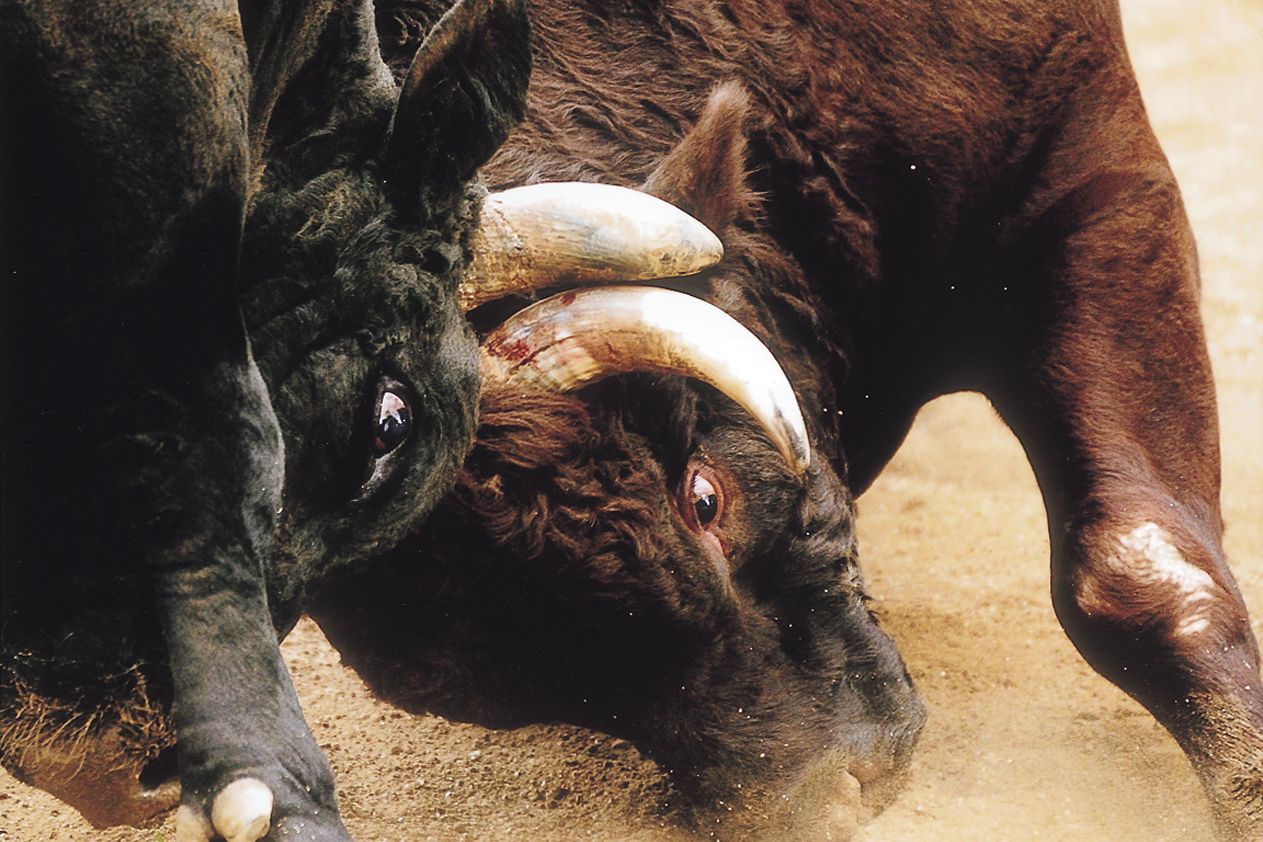 XRP Is Bitcoin’s Biggest Rival, Says Pundit