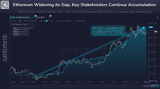 Ethereum Whales Go On Buying Spree Amid Crash To $4,200, Here’s How Much They Bought