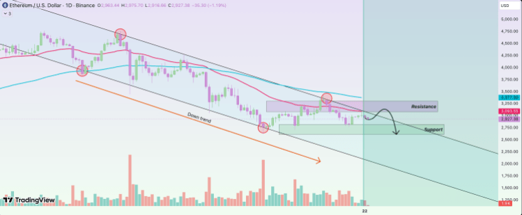 Reasons Why The Ethereum Price Will Continue To Crash