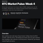 Bitcoin ETFs Post Best Week Since October Crash Despite Bearish Pressure